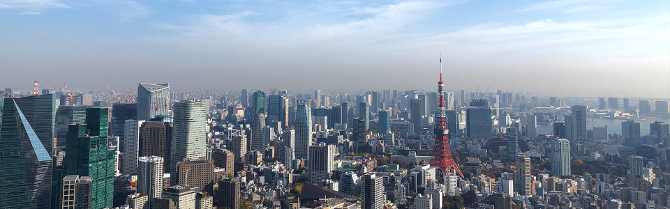 【豊田市】相続税対策で不動産を活用するメリット・デメリットと活用事例